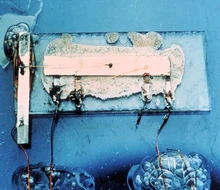 Premier circuit intégré démontré par Texas Instruments