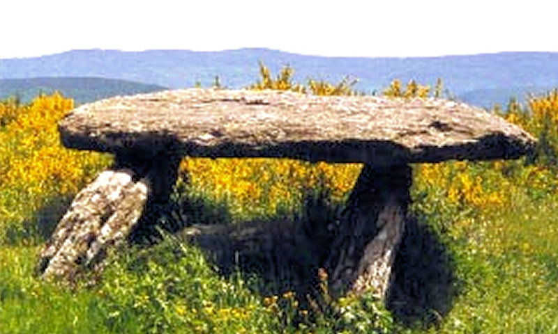 Affiche 05 – thème