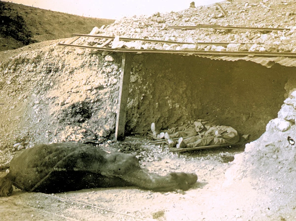 Brutalité des combats