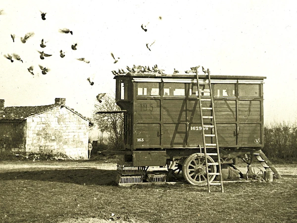 Moyens de communnication