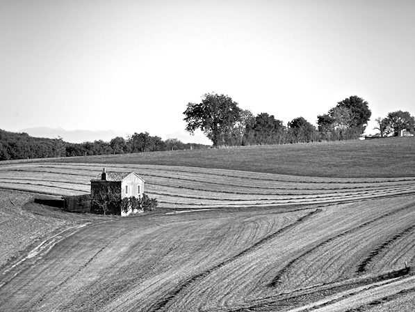 Photographies noir et blanc