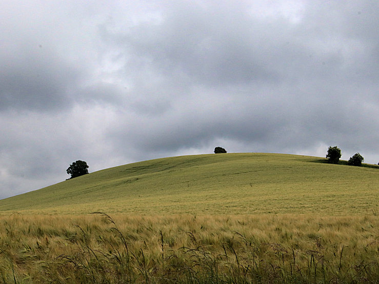 Paysages du sud du Tarn
